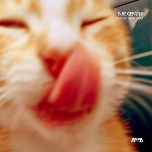 Trying To Figure It Out (Parapaman Version)