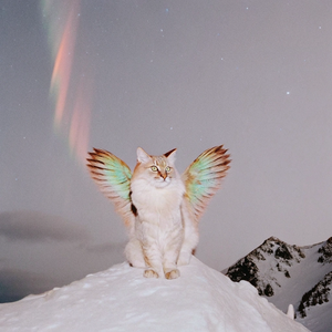 《一封寄往深情的信》