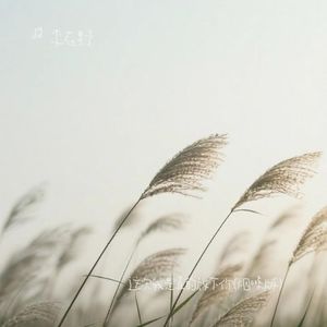 这次我是真的放下你了