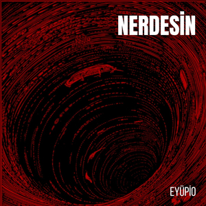 Nerdesi̇n