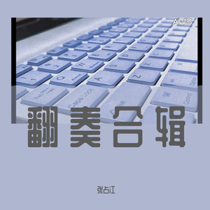 杨丞琳-匿名的好友（张占江 remix）