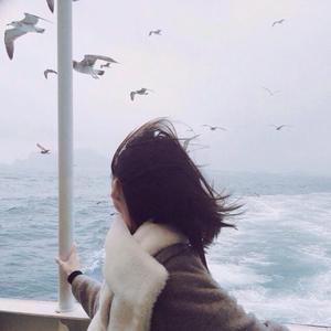 月亮代表我的心