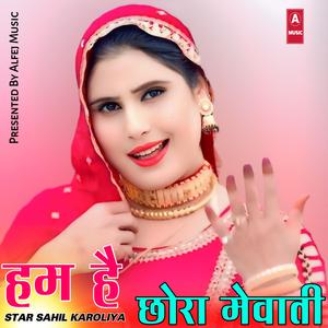 हम है छोरा मेवाती