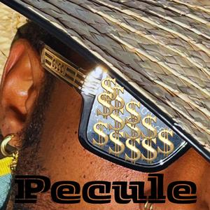 Pecule (feat. Hezi! & Akaieroce)