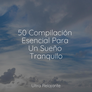 Sentimientos Iluminados