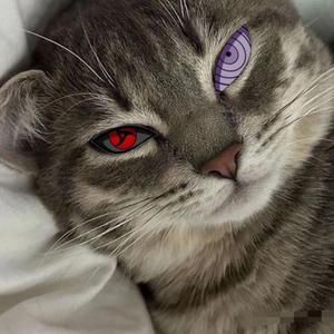 washing machine heart