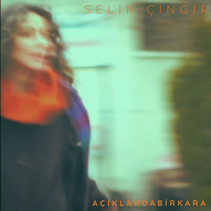 Açıklarda Bir Kara