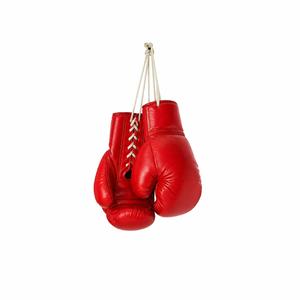 FIGHT