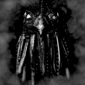 Mind Flayer
