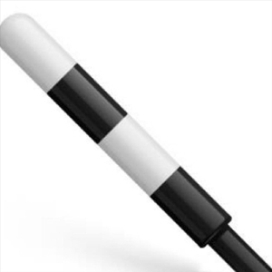 Песня про инспектора ГИБДД (feat. хор мальчиков АХИ им. В.Попова)