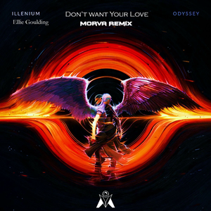 Don't Want Your Love (Morva Remix)