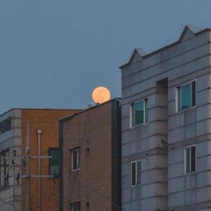 王秋实-会有那么一天（逾白_vf remix）