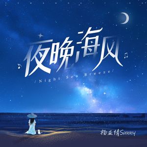 夜晚海风