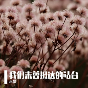 细菌王国的史诗