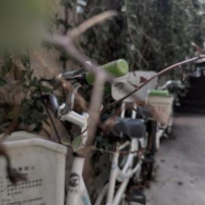 干嘛要说对不起（Prod by Ljx Ghost）