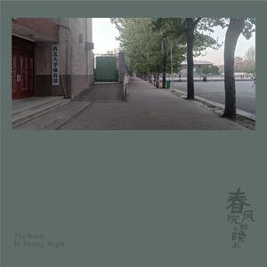 春风沉醉的晚上