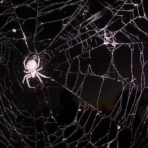 县城(prod.beatsbyaura)