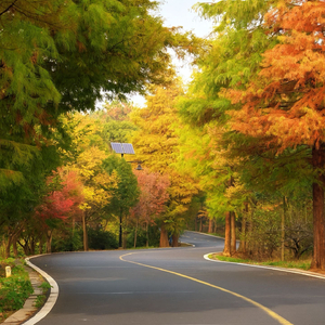 以朋友名义的爱情