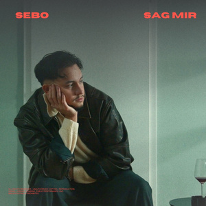 Sag mir