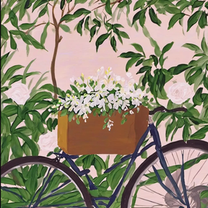 教室的粉笔灰时