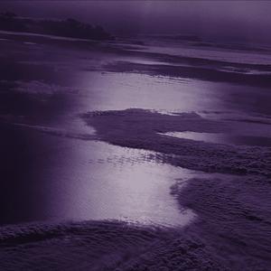 Chrysalis Honey of The Abaddon