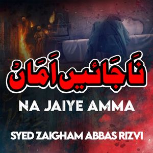Na Jaiye Amma