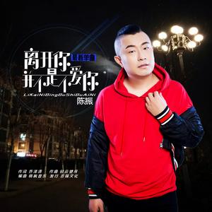 离开你并不是不爱你 (DJ何鹏版)