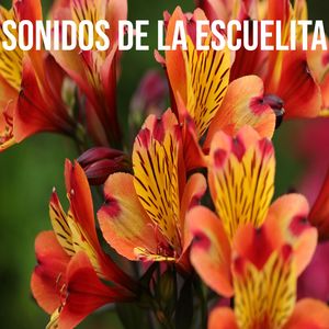 Sonidos de la Escuelita