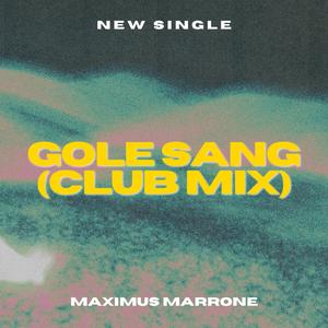 Gole Sang (feat. Hayedeh) (Club Mix)