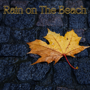 Orlando Rainforest Sounds: Sleep & Relaxation