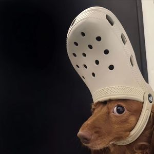 “比朋友更具体，比爱人更抽象”