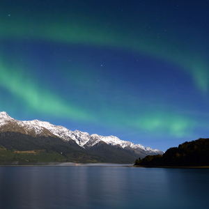 有一只狗咬了我一口我没有打它