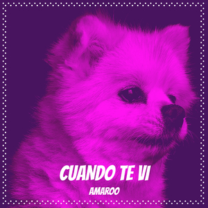 Cuando Te Vi