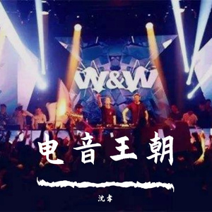 沈孝 - 纯电音