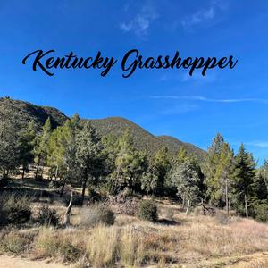 Kentucky Grasshopper (feat. Damon Pullias)
