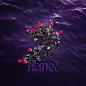 Havet