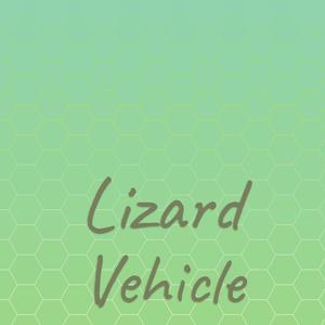 Internet Squamozygomatic