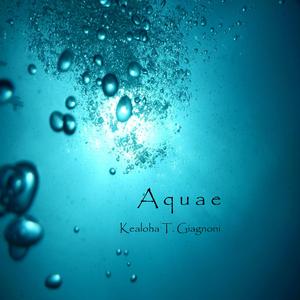 Aquae