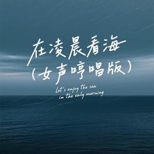 在凌晨看海 (女声哼唱版)(Cover Tz安竹)