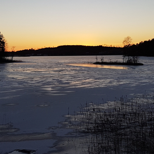 Blademaster (feat. X-tinction) (Demo 1996)