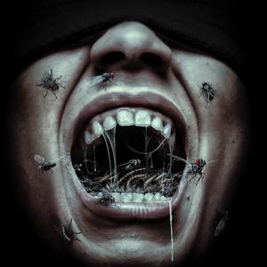 No Witnesses 증인 없음