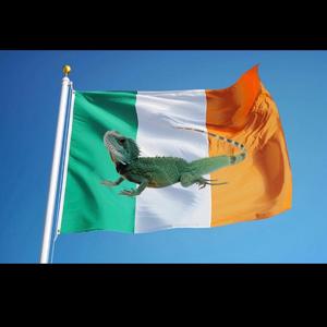 Irish Lizard (feat. Peyton Takacs & cany5n)