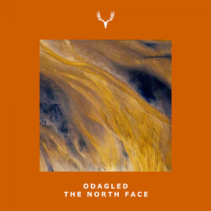 The North Face (Original Mix)