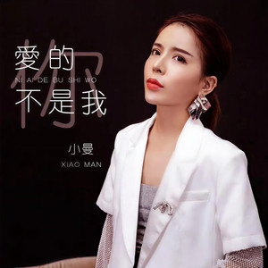 你爱的不是我 (DJ伟然版)