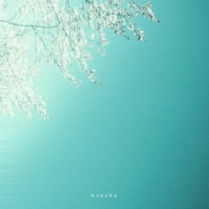 wakaba