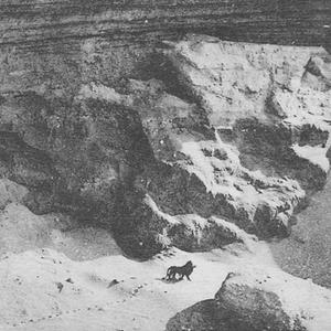 Novi Svjetski Poredak