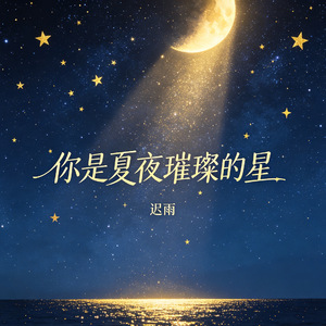 你是夏夜璀璨的星