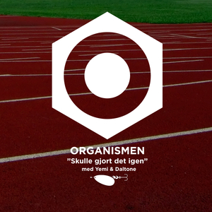 Skulle gjort det igen (instrumental)