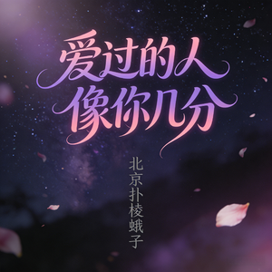 爱过的人像你几分 伴奏