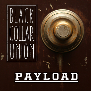Payload